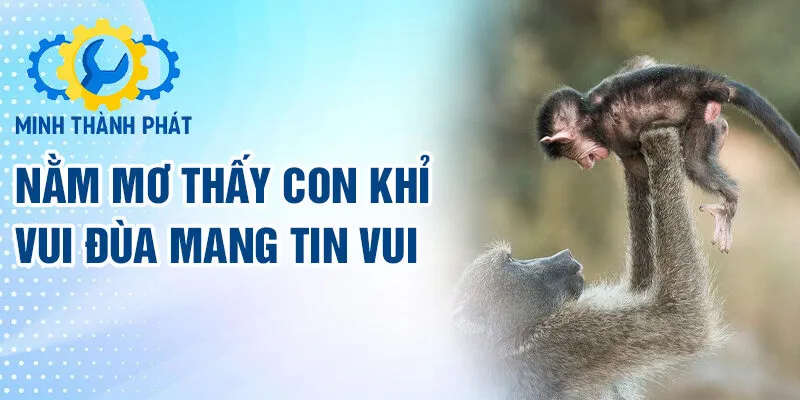 Nằm mơ thấy con khỉ vui đùa mang tin vui