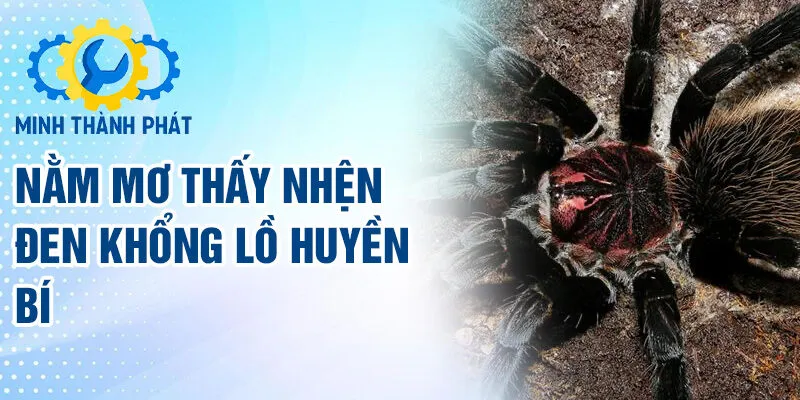 Nằm mơ thấy nhện đen khổng lồ huyền bí