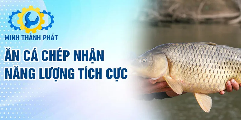 Ăn cá chép nhận năng lượng tích cực