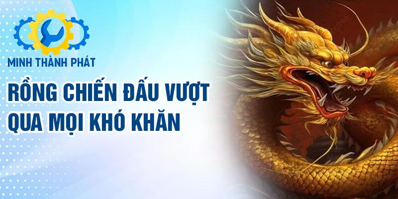Rồng chiến đấu vượt qua mọi khó khăn