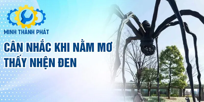 Cân nhắc khi nằm mơ thấy nhện đen