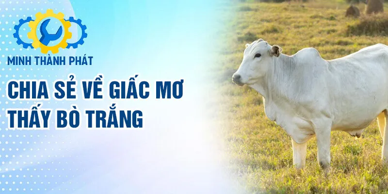 Chia sẻ về giấc mơ thấy bò trắng