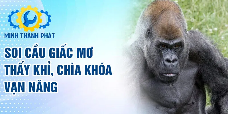 Soi cầu giấc mơ thấy khỉ, chìa khóa vạn năng