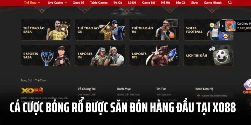 Cá cược bóng rổ được săn đón hàng đầu tại XO88